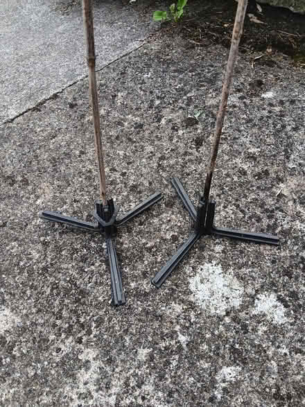 Photo of free Bamboo supports for grow bags (Rathmines/Ranelagh) #2