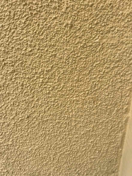 Photo of free Masonry paint (Badsey, Evesham WR11) #2