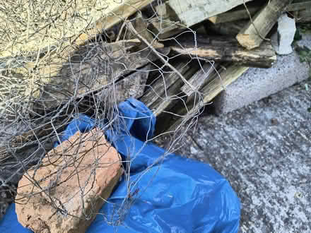 Photo of free Quantity of garden netting (Shoscombe Vale BA2) #2