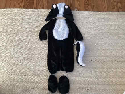 Photo of free Halloween Costume Ltl stinker skunk (Washington Crossing, pa) #2