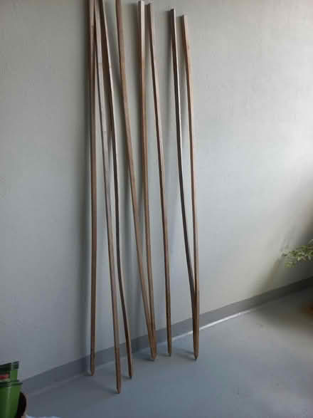 Photo of free garden stakes (Dixie and Lakeshore Road east) #1