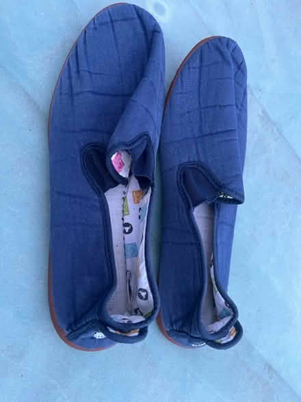 Photo of free Flossy pumps (Tyseley B11) #4