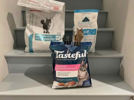 Photo of free Cat food (Burlington) #1
