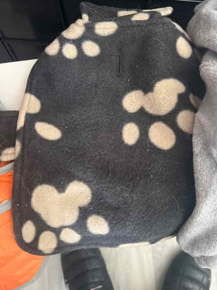 Photo of free Coats for small dog (Mavis & Burnhamthorpe) #2