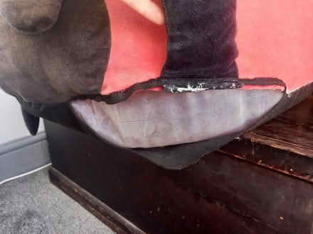 Photo of free Ladybird big relaxing cushion (SE9) #2