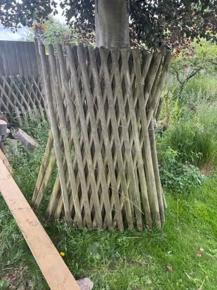 Photo of free Trellis (HP16) #1