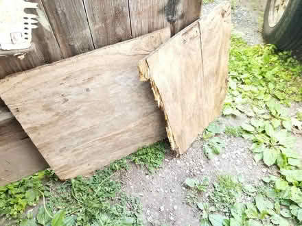 Photo of free Plywood (Huntington MA) #1