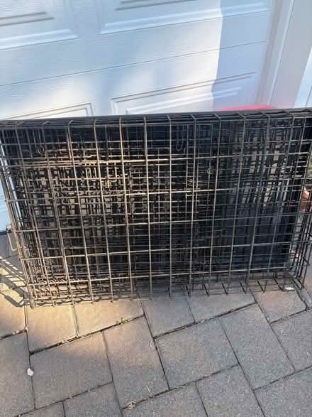 Photo of free Med size crate with tray (Dix Hills) #1