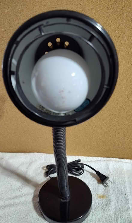 Photo of free Small Lamp - bendable (Saugus) #4