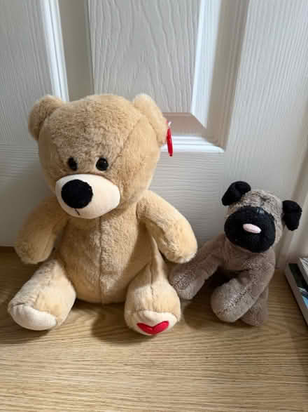 Photo of free Teddies (Tunbridge Wells) #1