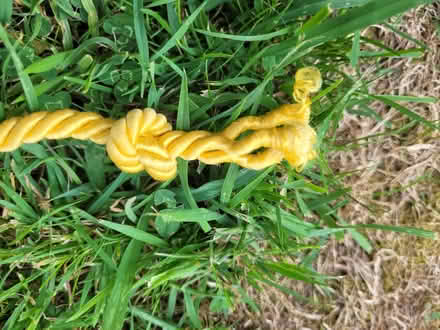 Photo of free Approx 70 metres x 7mm triple-braided golden-yellow cord (Springfield CM1) #2