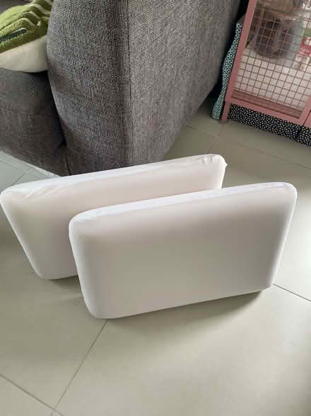 Photo of free Panda memory foam pillows (North Acton W3) #1