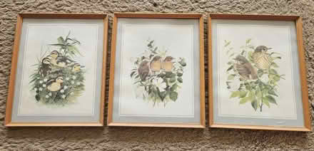 Photo of free Three framed bird pictures (Riddlesdown CR8) #1