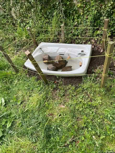 Photo of Ceramic/ porcelain sink (Edinburgh EH4) #1