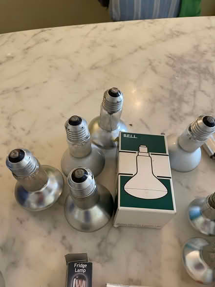 Photo of free Variety of screw in lightbulbs (Southsea PO5) #4