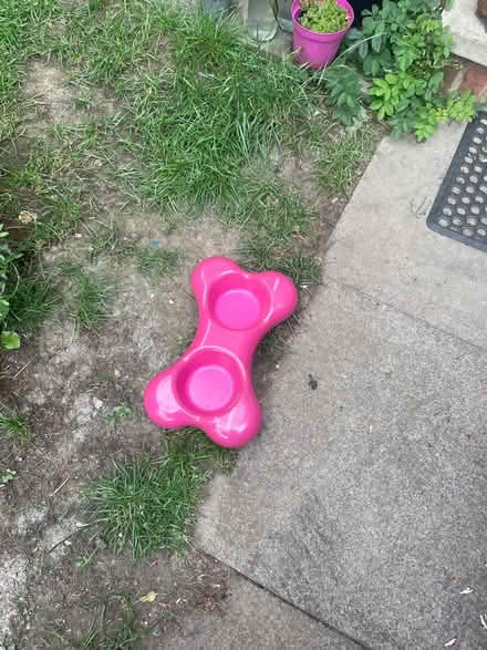 Photo of free Cat or dog bowl (At albans AL12PG) #1