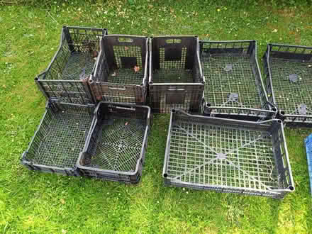 Photo of free Plastic Boxes and Crates (Bray SL6) #2