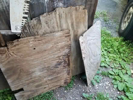 Photo of free Plywood (Huntington MA) #2