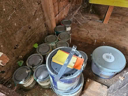 Photo of free selection of paints, brushes etc (Woodingdean BN2) #3