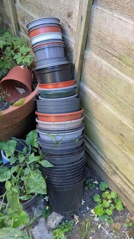 Photo of free Plant pots (Stockwell) #1
