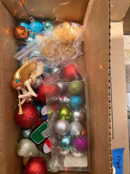Photo of free Plastic Xmas decorations (North Berkeley) #2