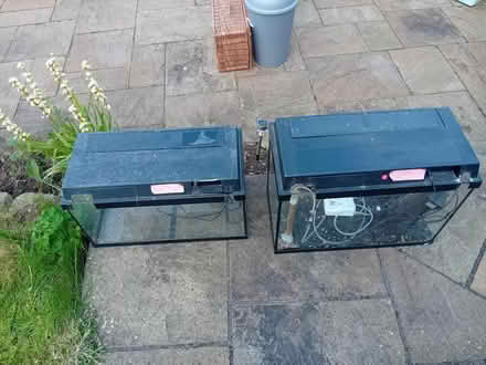Photo of free 2 tropical fish tanks (Morecambe LA4) #2