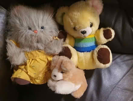 Photo of free Soft toys (Blackbird Leys OX4) #1