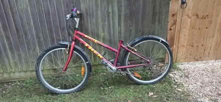Photo of free Bicycle (Woking GU22) #1
