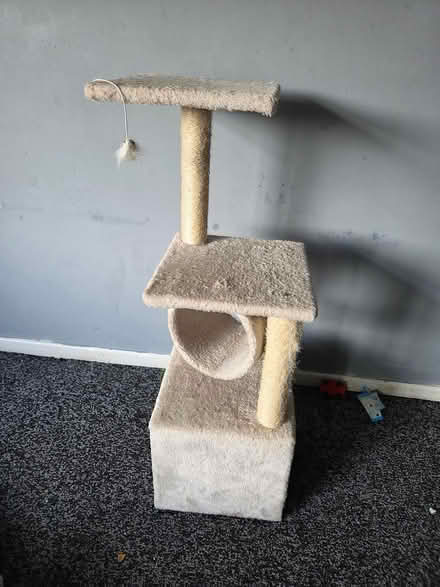 Photo of free Cat tree (Derby city centre) #1
