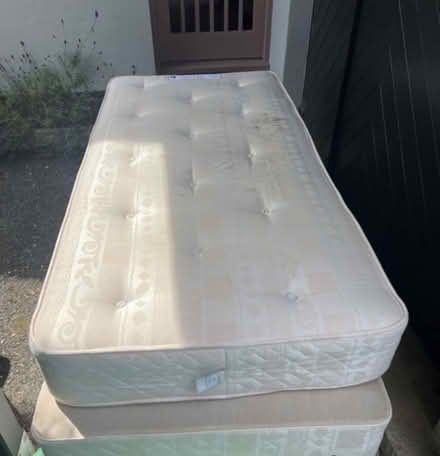 Photo of free Single divan bed and mattress (Totnes) #4