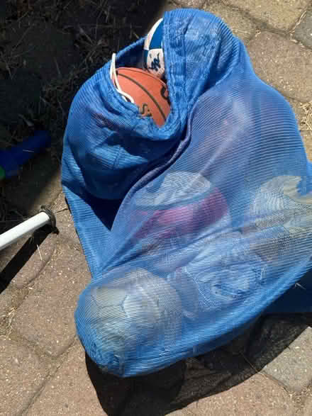 Photo of free Bag of Sports Balls (Redwood Heights) #1