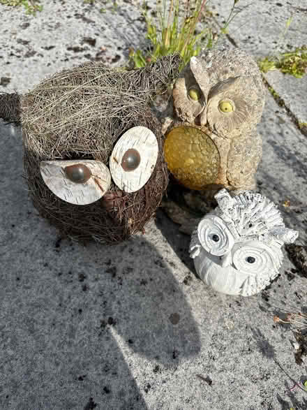 Photo of free Owl garden ornaments (Hala LA1) #1