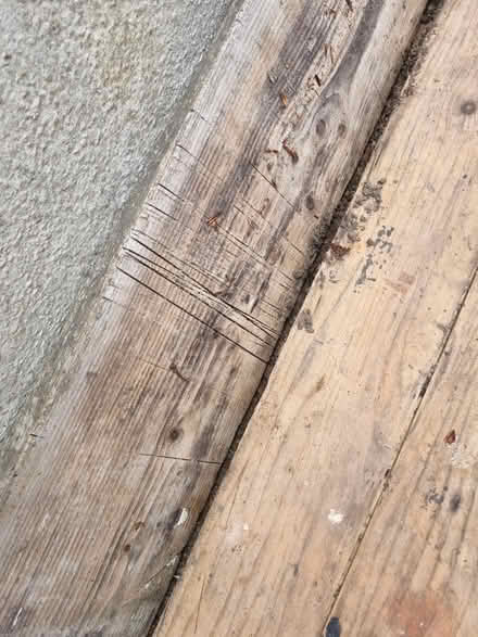 Photo of free Scaffolding boards (Waterston DT2) #4