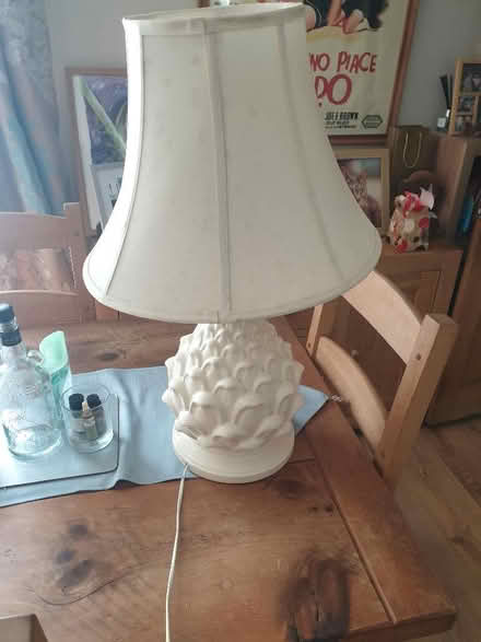 Photo of free Medium sized lamp (Denton M34) #1
