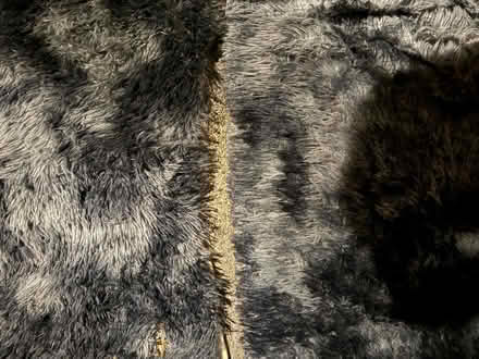 Photo of free Lightweight shaggy rug pieces (1075 Valencia Avenue) #2