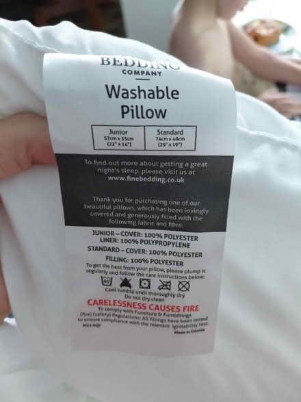 Photo of free Toddler cot duvet and pillow (Dorking) #1