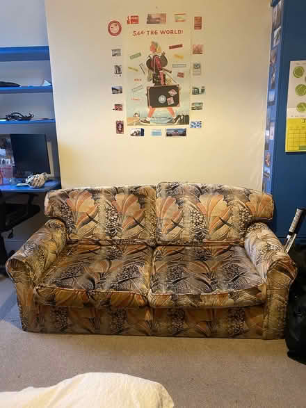 Photo of free Two-seater sofa (BS6) #2