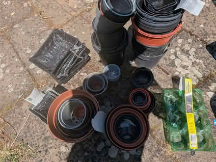Photo of free Various Plant Pots and Seeds Trays (Welwyn Village, AL6) #3