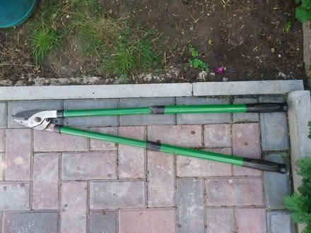 Photo of free Long-handled telescopic lopper (Willingdon BN20) #1
