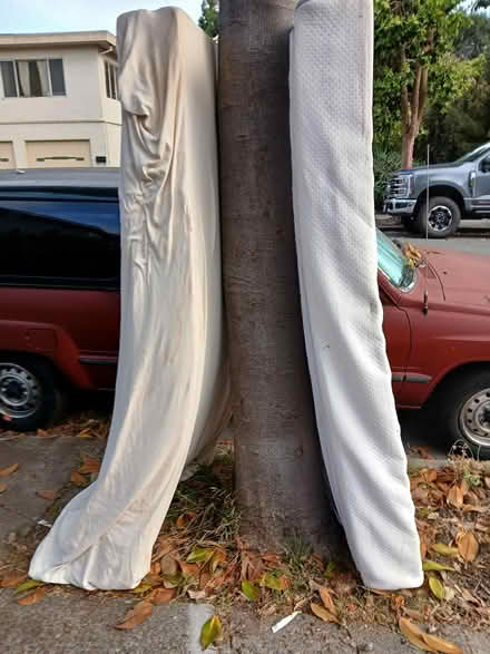 Photo of free Two lightly used foam Mattresses (West End, Near Maya Lin) #2