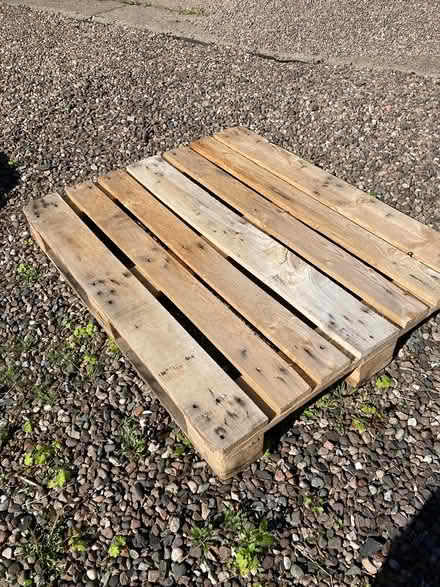 Photo of free Pallet (KY15 Freuchie) #1