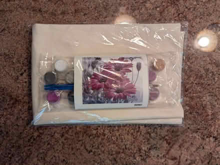 Photo of free Paint by Number Flowers (West Groton) #1