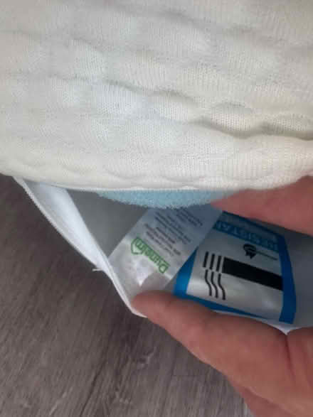 Photo of free Dunelm single mattress topper (Anerley SE20) #3
