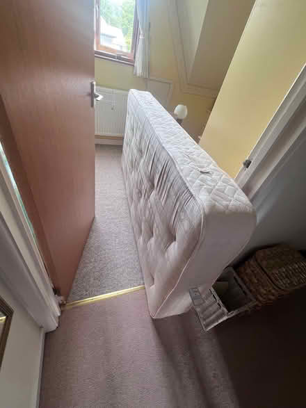 Photo of free Single divan bed and mattress (Totnes) #3