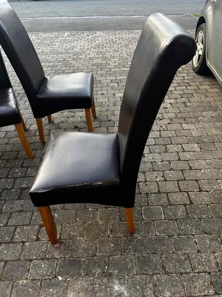 Photo of free Set of Dining Chairs (Littlemore OX4 4) #3