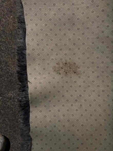 Photo of free Lightweight shaggy rug pieces (1075 Valencia Avenue) #4