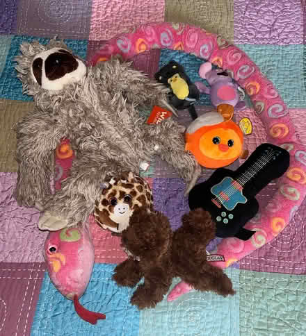 Photo of free 8 stuffed animals and plushies (Chelsea) #1