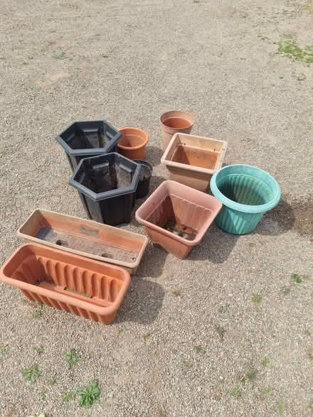 Photo of free Plastic Plant Pots (HR6 area) #1