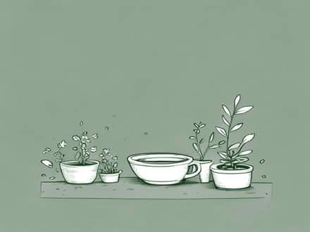 Photo of Any Gardening items (Hampden Park BN22) #1