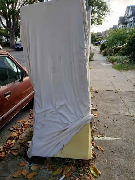 Photo of free Two lightly used foam Mattresses (West End, Near Maya Lin) #1